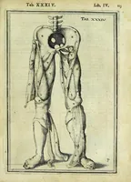 An illustration from Tabulae anatomicae LXXIIX (1632)
