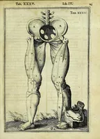 An illustration from Tabulae anatomicae LXXIIX (1632)