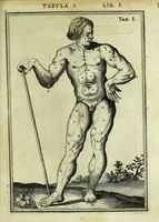 Picture 2 of 63 from Tabulae anatomicae LXXIIX (1632), leaf 13