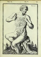Picture 42 of 63 from Tabulae anatomicae LXXIIX (1632), leaf 141