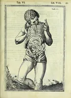 Picture 48 of 63 from Tabulae anatomicae LXXIIX (1632), leaf 167