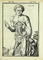 An illustration from Tabulae anatomicae LXXIIX (1632)