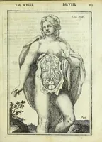 An illustration from Tabulae anatomicae LXXIIX (1632)