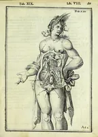 Picture 54 of 63 from Tabulae anatomicae LXXIIX (1632), leaf 193
