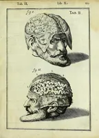 Picture 57 of 63 from Tabulae anatomicae LXXIIX (1632), leaf 205