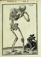 An illustration from Tabulae anatomicae LXXIIX (1632)