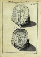 An illustration from Tabulae anatomicae LXXIIX (1632)
