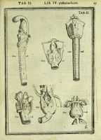 An illustration from Tabulae anatomicae LXXIIX (1632)