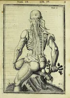 An illustration from Tabulae anatomicae LXXIIX (1632)