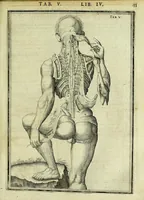 An illustration from Tabulae anatomicae LXXIIX (1632)