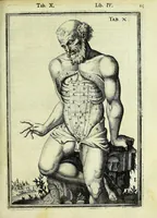 An illustration from Tabulae anatomicae LXXIIX (1632)