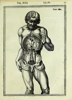 Picture 22 of 63 from Tabulae anatomicae LXXIIX (1632), leaf 77