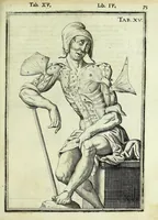 Picture 23 of 63 from Tabulae anatomicae LXXIIX (1632), leaf 81