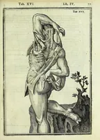 An illustration from Tabulae anatomicae LXXIIX (1632)