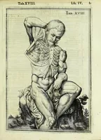 An illustration from Tabulae anatomicae LXXIIX (1632)