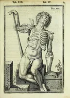 An illustration from Tabulae anatomicae LXXIIX (1632)