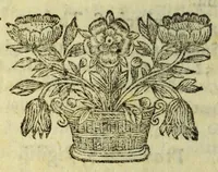 An illustration from Tabvla geographica totiva seraphici ordidinis FF. Minorvm S. Francisci, : sub generali ministro reverendissimo patre in Christo P.F. Josepho Ximenez de Samaniego ... exceptis rr.pp. capvccinis conventualibus, tertiariis & monialibus quibuscunque, extra præfati Generalis Ministri gubernium ac sigillum, sub S.P.N. Francisci invocatione, directione vel institutione quomodocunque Deo servientibus. (1680)