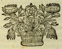 An illustration from Tabvla geographica totiva seraphici ordidinis FF. Minorvm S. Francisci, : sub generali ministro reverendissimo patre in Christo P.F. Josepho Ximenez de Samaniego ... exceptis rr.pp. capvccinis conventualibus, tertiariis & monialibus quibuscunque, extra præfati Generalis Ministri gubernium ac sigillum, sub S.P.N. Francisci invocatione, directione vel institutione quomodocunque Deo servientibus. (1680)