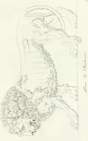 An illustration from Taccuino di disegni di ogni specie (1811)