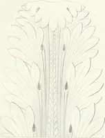 An illustration from Taccuino di disegni di ogni specie (1811)