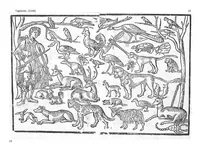 Picture 11 of 18 from Opera nuova che insegna a le donne cusire, a racammare, & a disegnare a ciascuno: et la detta opera sara di grande utilita ad ogni artista, per esser il disegno a ognuno necessario, la qual intitolata esempio di recammi (1530), leaf 12