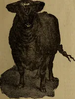 An illustration from Take a pointer and give another. (1902)