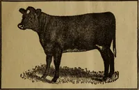 An illustration from Take a pointer and give another. (1902)