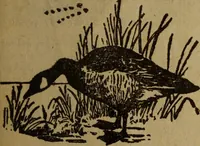 An illustration from Take a pointer and give another. (1902)