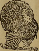 An illustration from Take a pointer and give another. (1902)
