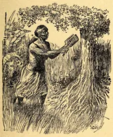Picture 5 of 8 from Tales of the African wild (1914), leaf 123