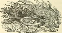An illustration from Tales, poems and Masonic papers (1877)