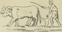 An illustration from Talmudische Archäologie (1910)