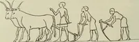 An illustration from Talmudische Archäologie (1910)