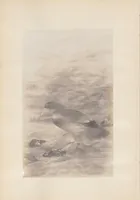 An illustration from Tang Wu dai Song Yuan ming hua (1916)