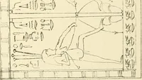 An illustration from Tanis (1885)