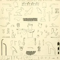 Picture 39 of 82 from Tanis (1885), leaf 236