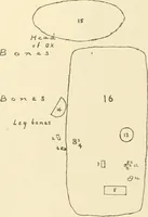 An illustration from Tanis (1885)