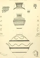 An illustration from Tanis (1885)