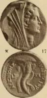 An illustration from Ta nomismata tou kratous ton Ptolemaion (1904)