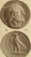 An illustration from Ta nomismata tou kratous ton Ptolemaion (1904)