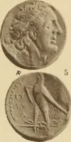 Picture 70 of 332 from Ta nomismata tou kratous ton Ptolemaion (1904), leaf 32