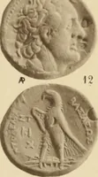 An illustration from Ta nomismata tou kratous ton Ptolemaion (1904)