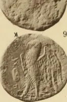 An illustration from Ta nomismata tou kratous ton Ptolemaion (1904)