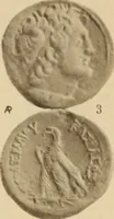 An illustration from Ta nomismata tou kratous ton Ptolemaion (1904)