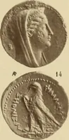 An illustration from Ta nomismata tou kratous ton Ptolemaion (1904)