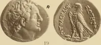 An illustration from Ta nomismata tou kratous ton Ptolemaion (1904)