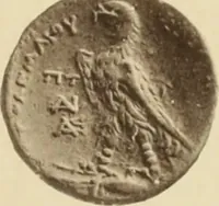 An illustration from Ta nomismata tou kratous ton Ptolemaion (1904)