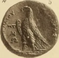 An illustration from Ta nomismata tou kratous ton Ptolemaion (1904)