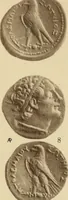 An illustration from Ta nomismata tou kratous ton Ptolemaion (1904)