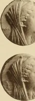 An illustration from Ta nomismata tou kratous ton Ptolemaion (1904)